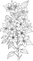 vintage botanical line drawing, botanical illustration botanical line drawing, simple botanical line drawing, simple botanical flower drawings, easy botanical doodles. aesthetic flower doodles. vector