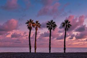 playa paisaje paz y tranquilo puesta de sol y cuatro palma arboles en el playa foto