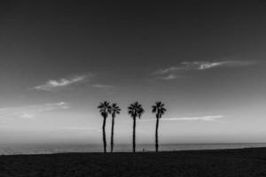 playa paisaje paz y tranquilo puesta de sol y cuatro palma arboles en el playa foto