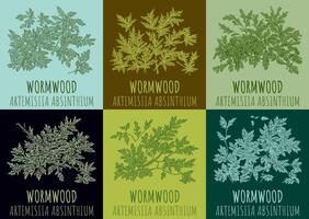 Set of vector drawings Wormwood in different colors. The image was created using . Latin name Artemisia absinthium.