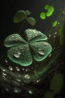 Spring. A beautiful green four-leaf clover. . photo