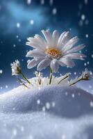 Beautiful digital art snow scene. . photo