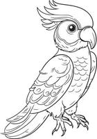 Parrot vector outline. Coloring book parrot design.