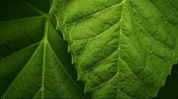 cerca arriba de un verde hoja. verde hoja textura. naturaleza antecedentes. ai generado foto