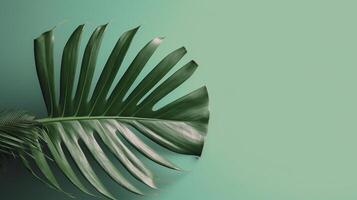 Tropical palm leaf on green background. Minimal concept. photo