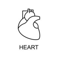 heart line vector icon