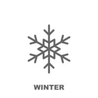 Winter vector icon