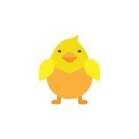 Easter, chick vector icon