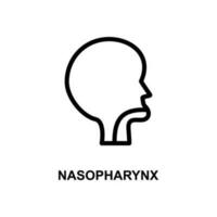 nasopharynx simple line vector icon