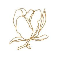 Magnolia flower with branch in gold color. vector