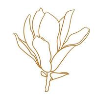 Magnolia flower with branch in gold color. vector