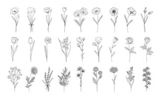 Simple Flower Drawing Vector Art, Icons, and Graphics for Free Download-saigonsouth.com.vn
