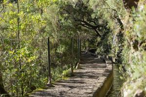 Hiking path along irrigation canal to Lagoa das 25 Fontes on Madeira, Portugal photo