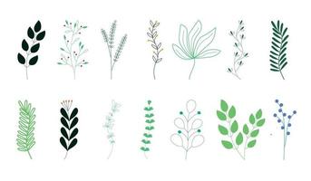 Collection sketch twigs. Hand drawn vector floral elements.