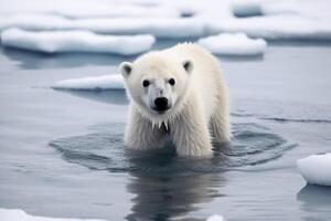 Baby polar bear on melting ice created with technology. photo