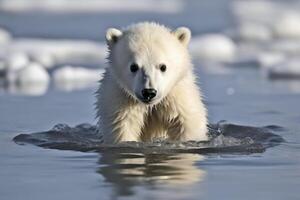 Baby polar bear on melting ice created with generative AI technology. photo