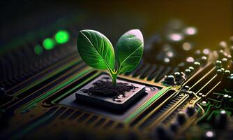 Growing tree on the converging point of acomputer circuit board. Nature with Digital Convergence and Technological Convergence. Green Computing, Green Technology, Green IT, csr, photo