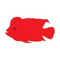 louhan fish icon vector