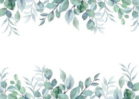 Watercolor eucalyptus leaves border for wedding, birthday, card, background, invitation, wallpaper, sticker, decoration etc. vector