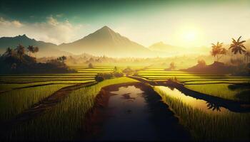 the beauty of the morning panorama with sunrise and rice fields. rice field in countryside. Beautiful gold color sunset at rice field. . photo