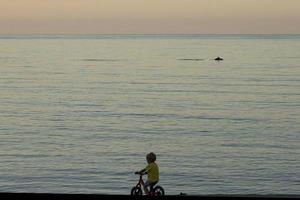 A little boy rides his bike along the sea and watches a dolphin at sunset. photo