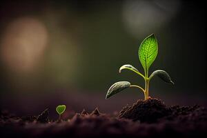 A small green sprout sprouted from the ground against a dark blurry background. photo