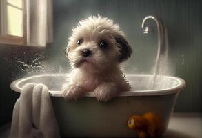 Cute puppy dog in bathtub , pets cleaning, studio shot. Generate Ai. photo