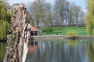 Cute Water Birds at The Lake of Public Park of Luton England UK photo