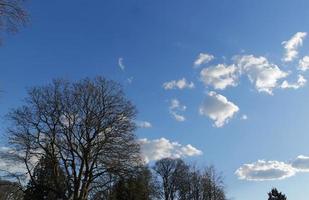 Low Angle View of Local Public Park and Beautiful Trees a Clear and Cold Day of 24-March-2023 at Luton Town of England UK. photo