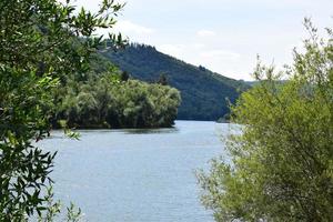 Idyllic Mosel in Summer photo