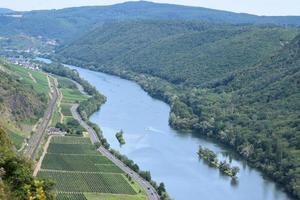 Mosel Valley with Vineyards and Forest photo