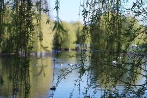 bajo ángulo ver de local público parque de lutón pueblo de Inglaterra foto