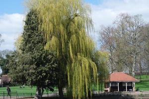 Beautiful Low Angle View of Wardown Public Park of Luton England Great Britain. Image was Captured on 03-April-2023 photo