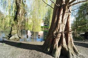 Gorgeous View of Wardown Public Park and People are Enjoying the Beautiful and Bright Sunny Day. They are Spending Day with Their Families and Having Fun. Image Was Captured at Luton on 03-April-2023 photo