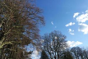 bajo ángulo ver de local público parque y hermosa arboles un claro y frío día de 24-marzo-2023 a lutón pueblo de Inglaterra Reino Unido. foto