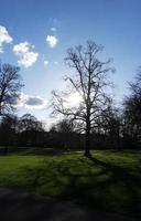 Low Angle View of Local Public Park and Beautiful Trees a Clear and Cold Day of 24-March-2023 at Luton Town of England UK. photo