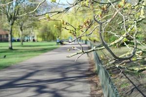 bajo ángulo ver de local público parque y hermosa arboles un claro y frío día de 24-marzo-2023 a lutón pueblo de Inglaterra Reino Unido. foto