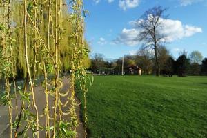 Low Angle View of Local Public Park and Beautiful Trees a Clear and Cold Day of 24-March-2023 at Luton Town of England UK. photo