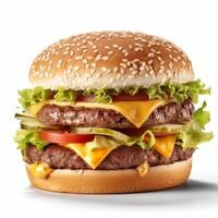 A hamburger with lettuce, tomato, and cheese on it photo