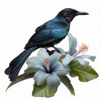 A blue bird sits on a flower with a green background photo