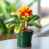 A sun flower in a vase photo