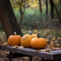 Pumpkins on a wooden table in a jungle photo