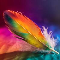 A feather with a rainbow background photo