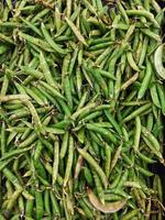 A grade green peas,local name matar in urdu,raw green vegetable photo