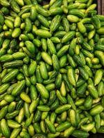 Pile of fresh oraganic long parwal ,green parwal,a grade of green pan photo