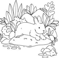 Vector illustration of a rabbit and nature for coloring page, coloring book, etc