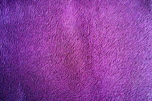 Purple carpet texture background. Close up of violet fabric abstract background for design. photo