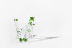 organic cosmetics, natural cosmetics, biofuels, algae. Natural green laboratory. Experiments. Laboratory glassware and containers with green plants on a light background. photo