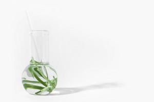 organic cosmetics, natural cosmetics, biofuels, algae. Natural green laboratory. Experiments. Glass laboratory flask with green plants on a light background. photo