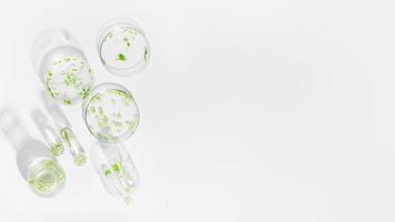 organic cosmetics, natural cosmetics, biofuels, algae. Natural green laboratory. Experiments. Laboratory glassware and containers with green plants on a light background. photo